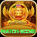 cricket match score PK Ultimate
