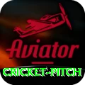 cricket pitch Game VIP v3.3.6