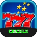 crickex Slot Machine Gold