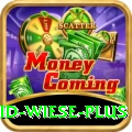 david wiese Premium Gaming App