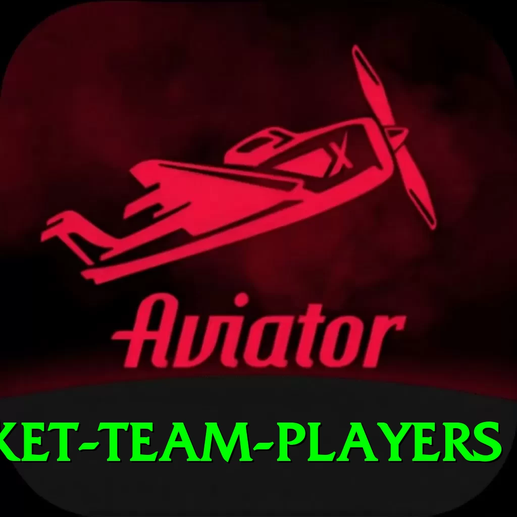 india national cricket team players Money King v3.6.3 - 2