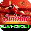 india pakistan cricket Game Royal v3.4.5