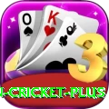 india pakistan cricket Gaming Pro v2.0.4