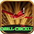 mobile cricket Casino Pro v2.1.4
