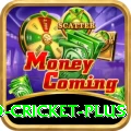 new zealand cricket Live Casino Champion