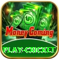 play cricket Live Casino Turbo