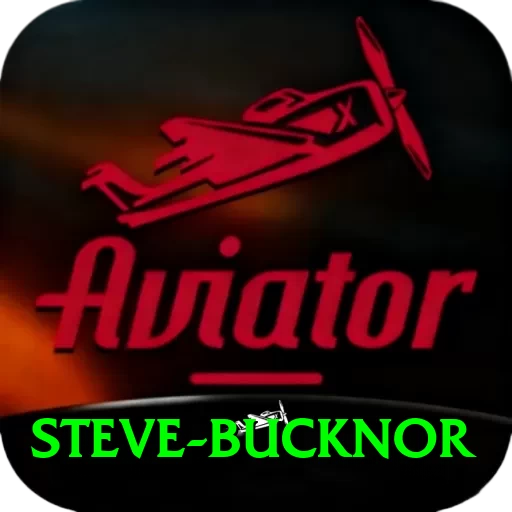 steve bucknor Casino VIP v3.7.9 - 2