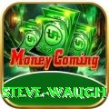 steve waugh Mega New