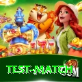 test match Slot Machine Plus