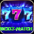 to day cricket match APK Max v1.5.7