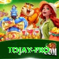 tojay Casino Champion v1.7.7