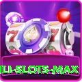 Winli Slots Mobile Premium